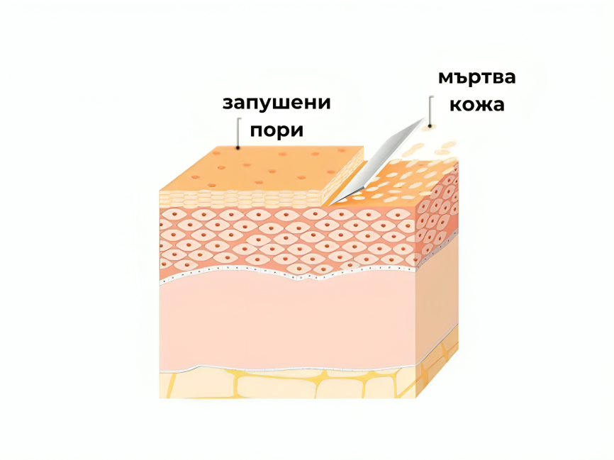 Copy of Untitled (15) (1).png